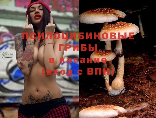 стаф Сафоново