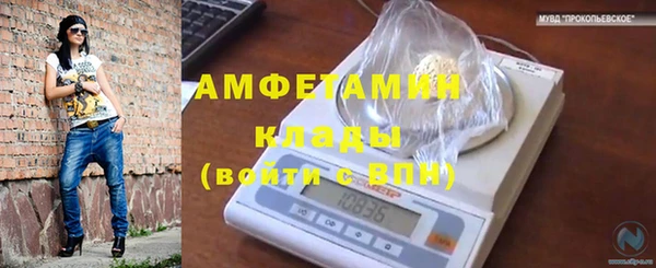 стафф Алзамай