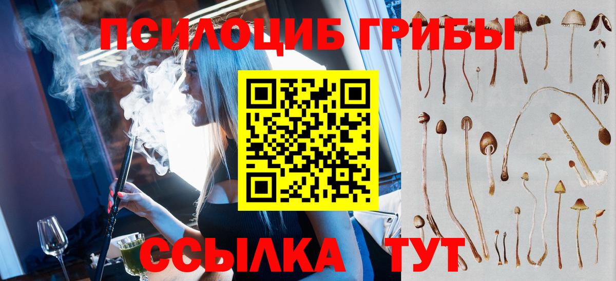 Псилоцибиновые грибы прущие грибы  Галлюциногенные грибы Psilocybine cubensis  купить наркотики цена  Большой Камень  Вход с VPN 